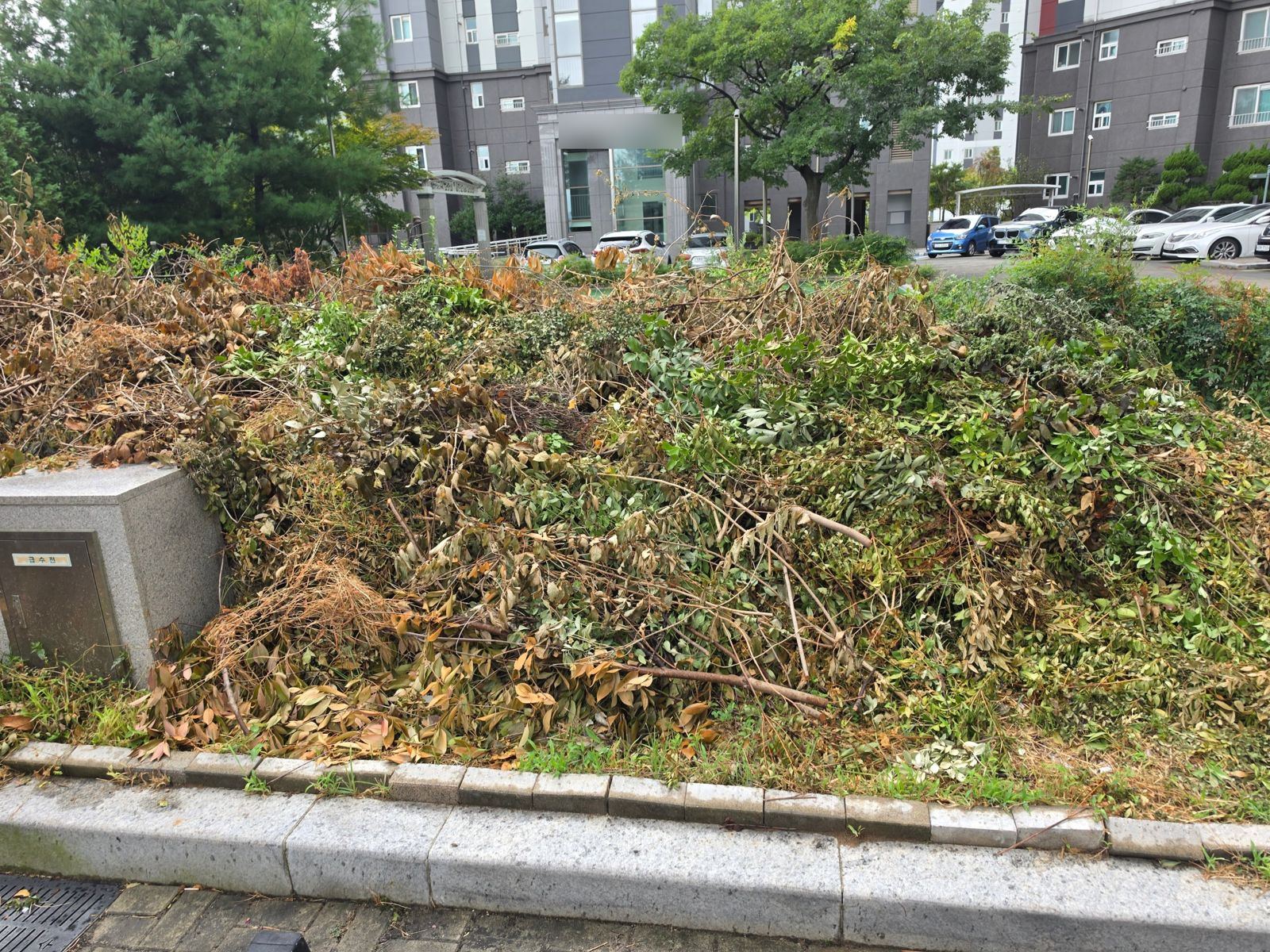 아파트 단지 전지 작업 후 쌓인 가지