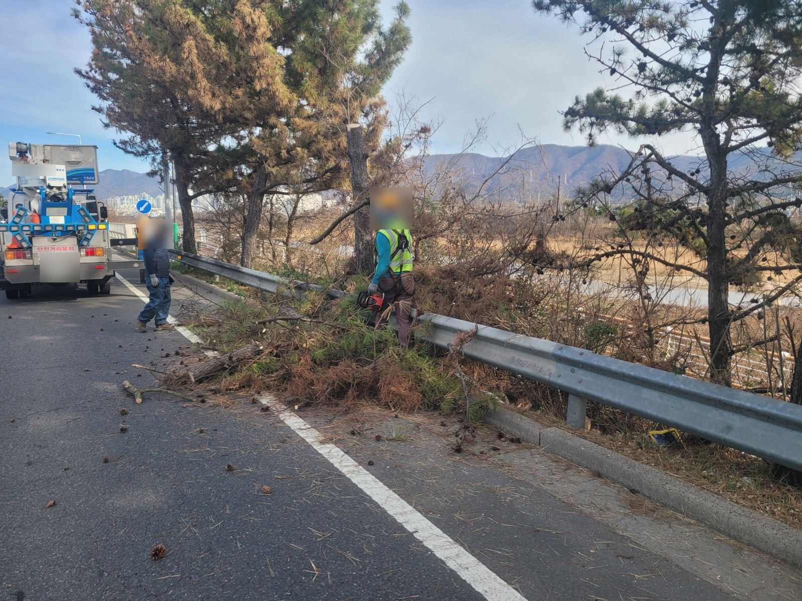 시공 사례 전지 작업